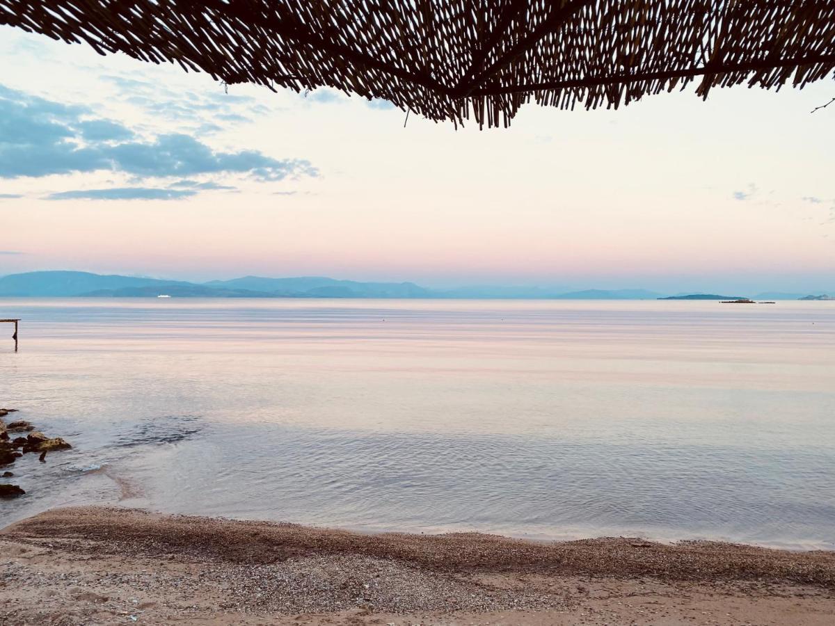 Louvros Luxury Suites Dassia  Buitenkant foto